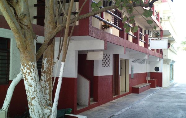Safari Inn - Hoteles en Cozumel, México: todo incluido, baratos y ofertas