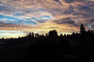 Alquiler Vacacional - Garden Oasis in the City