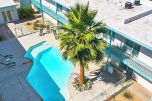 Alquiler Vacacional - Funky Pool Side Cabana in DTPHX