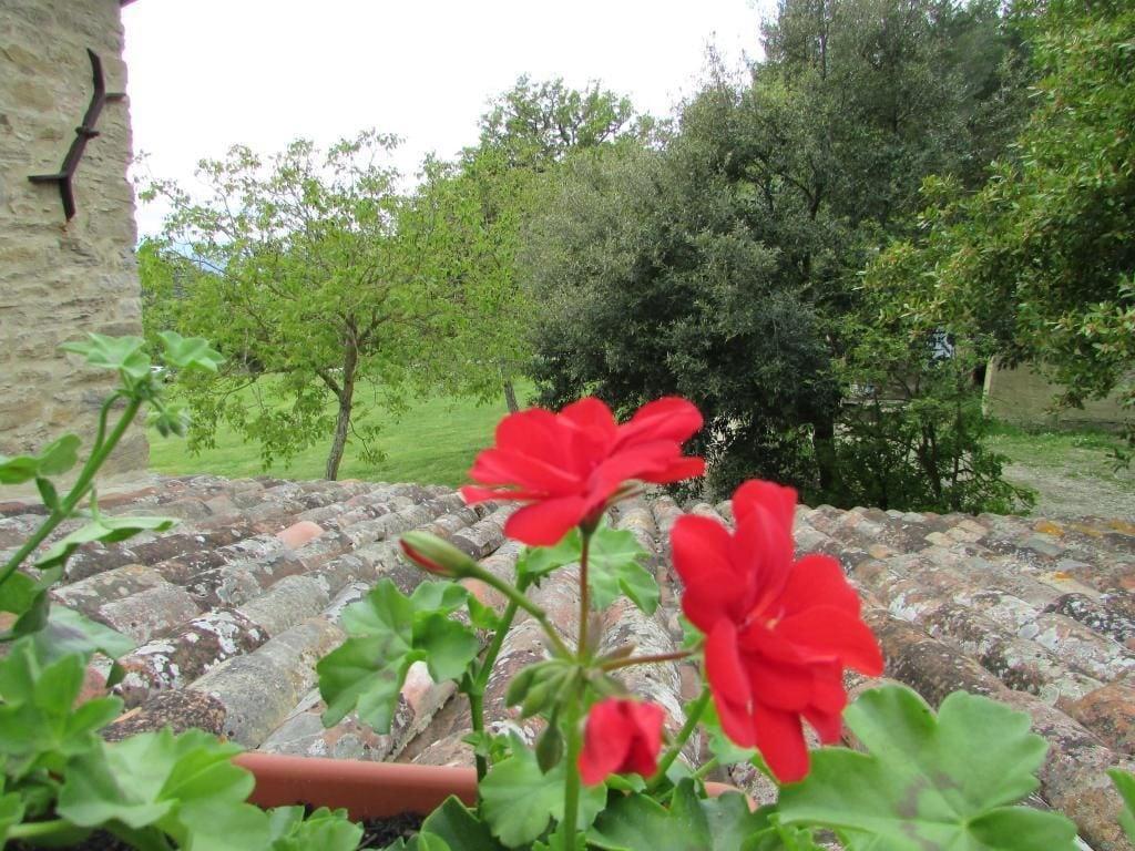 Vista Exterior Le Quercie Di Campolungo