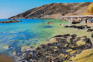 Actividad - PIK - Reserva Nacional de Paracas