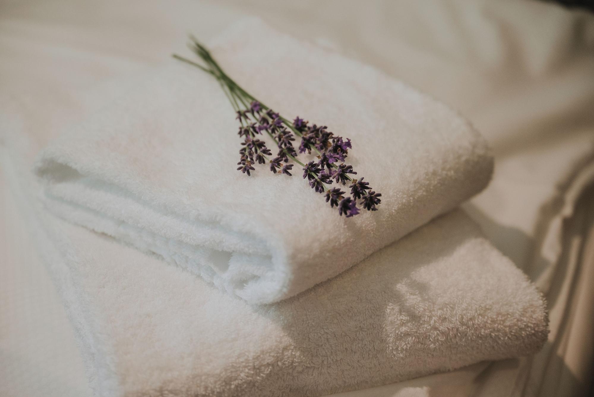 Set de Habitación Boutiquehotel Stadthalle by Cocoon