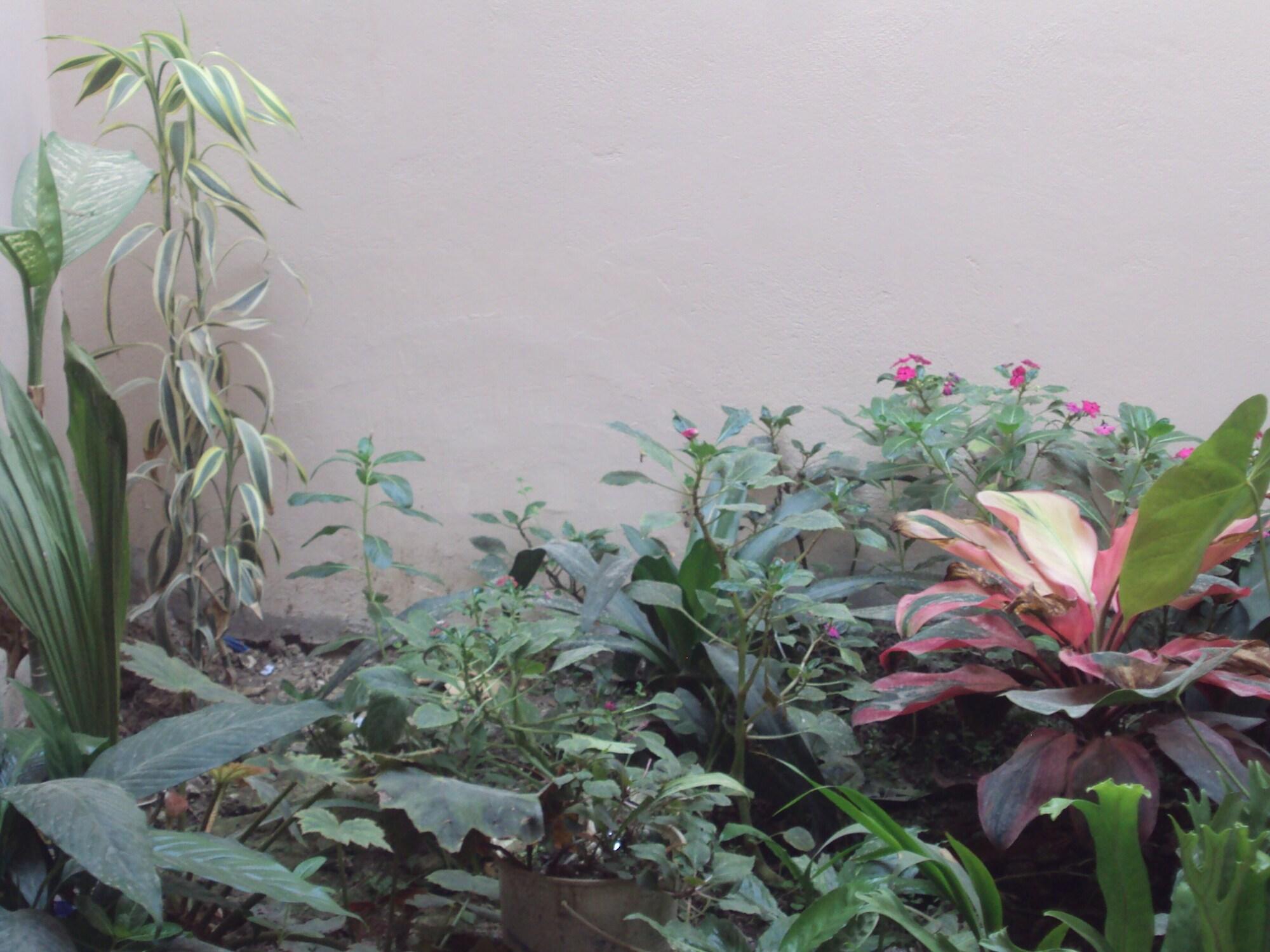 Equipamiento de Habitación Selva del Sol