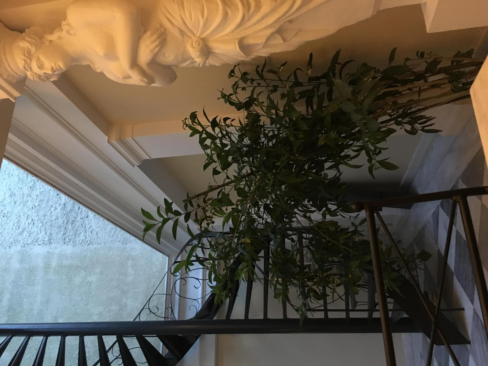 Vista Exterior Noble Suites