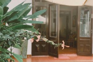 Alojamiento - An Hien Homestay Hoi An