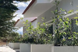 Alojamiento - Hotel Campo do Rosmaninho