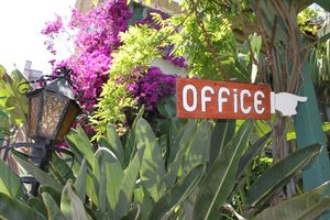 Alojamiento - La Paloma Las Flores