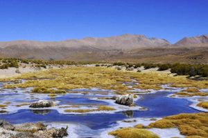Paquete - Ibis Budget Iquique