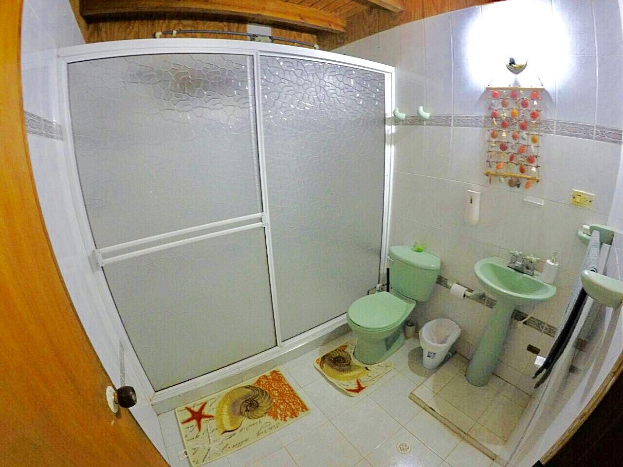 Baño Wild Adventure