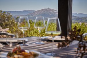 Actividad - FULL DAY SIERRAS, VINOS Y MAR