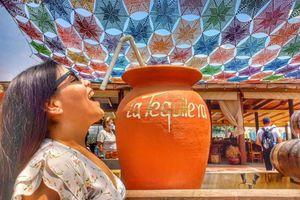 Actividad - Experimenta la Ruta del Tequila - Tour