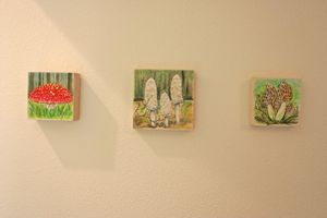 Alquiler Vacacional - Private house with 3 suites. Modern, Clean & Comfortable!