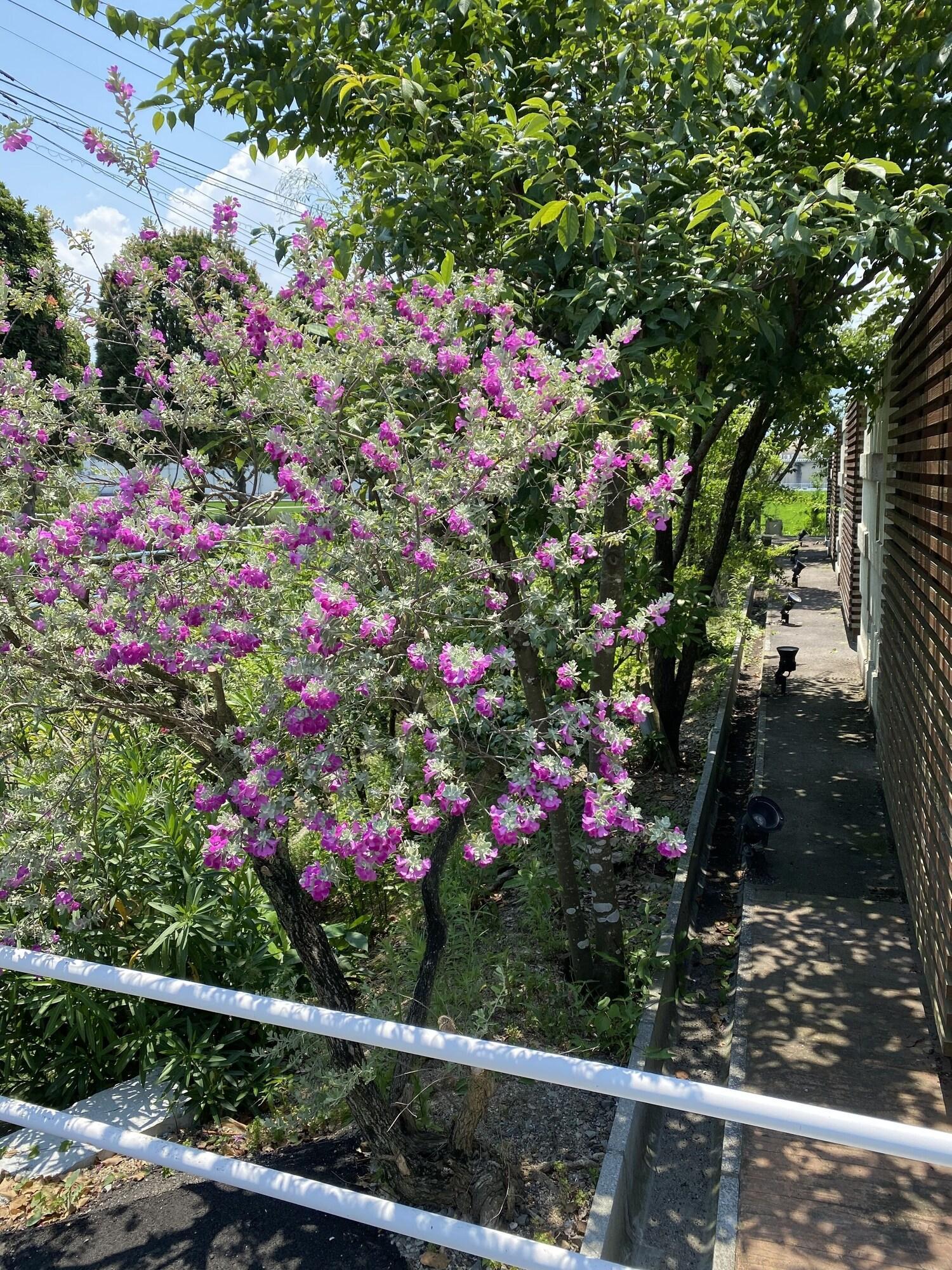 Vista Exterior HOTEL OASIS - Adults Only