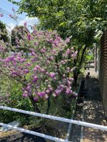 Alojamiento - HOTEL OASIS - Adults Only