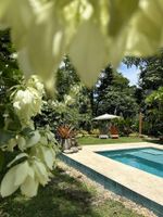 Alquiler Vacacional - Ocean view luxury property with pool in the jungle at 10 min walk to the beach.