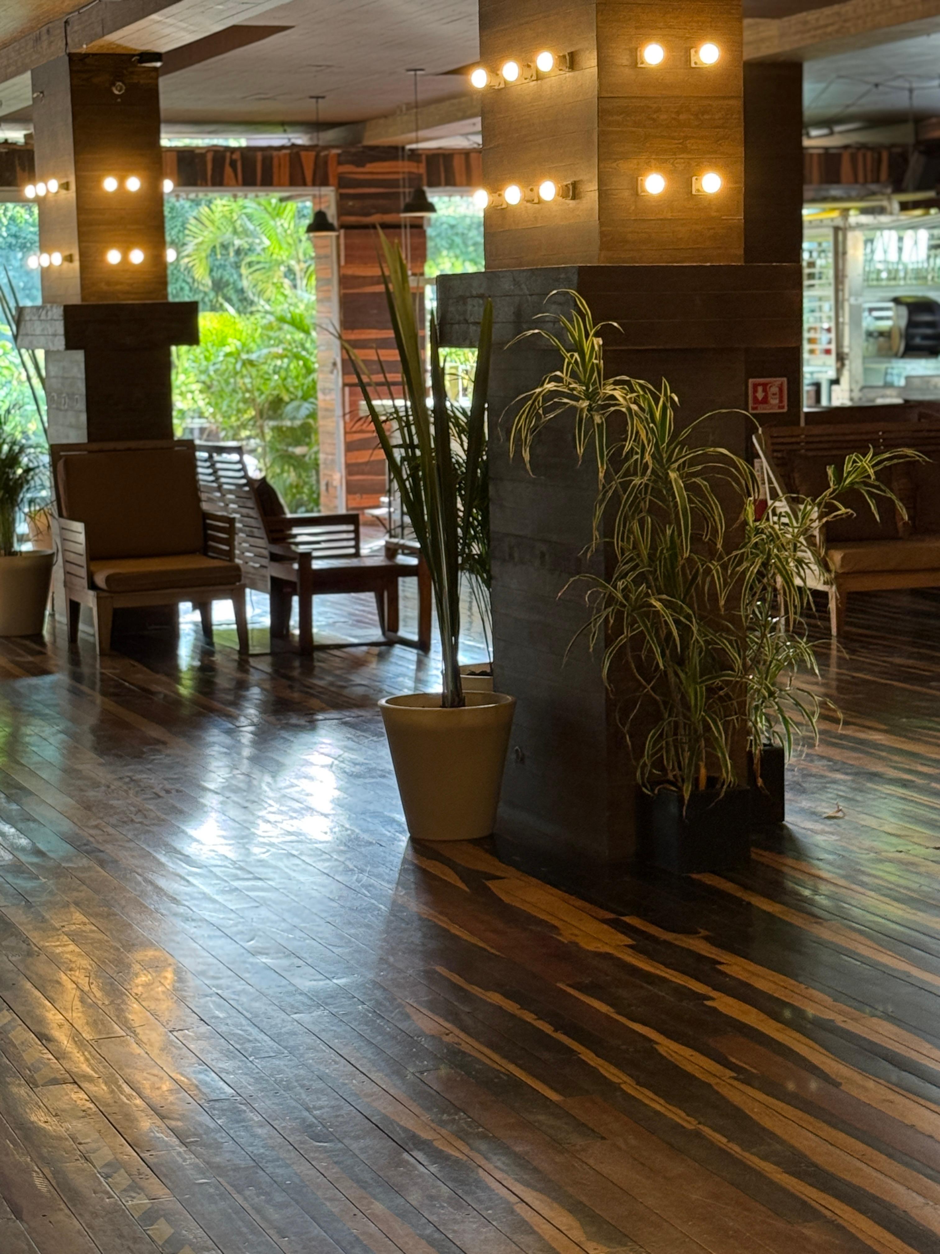 Vista Lobby Hotel Kavia 5th Avenida