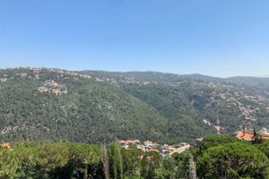 Alojamiento - Colibri