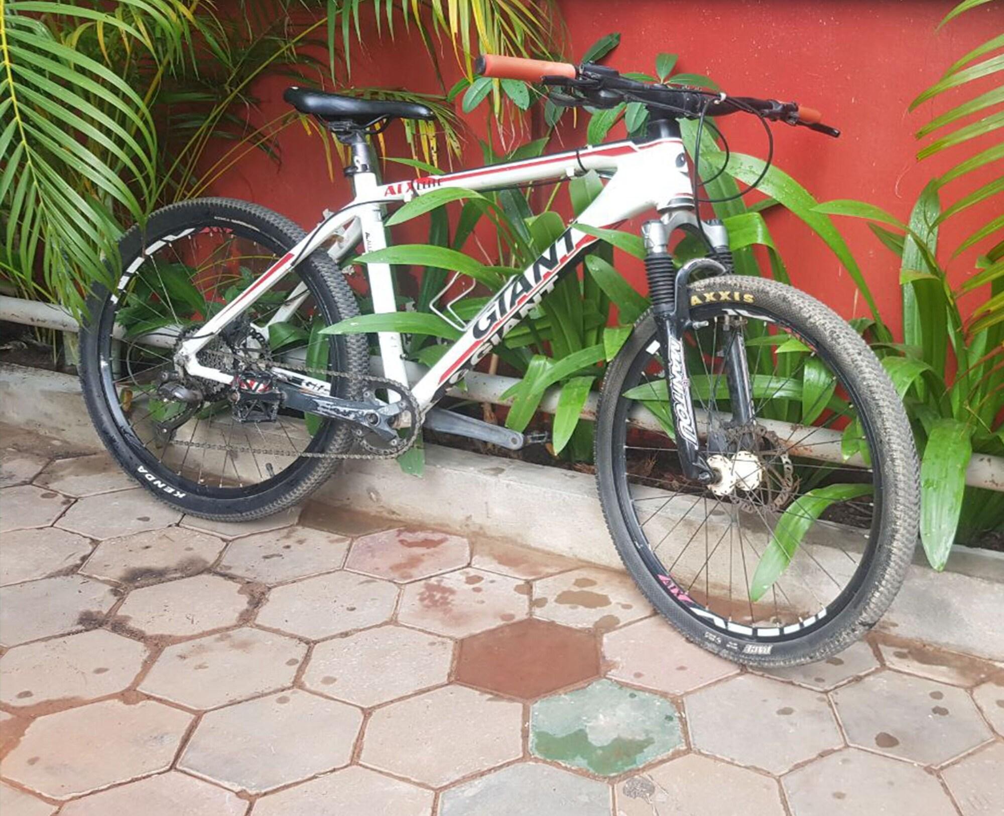 Instalaciones Recreativas Archaic House