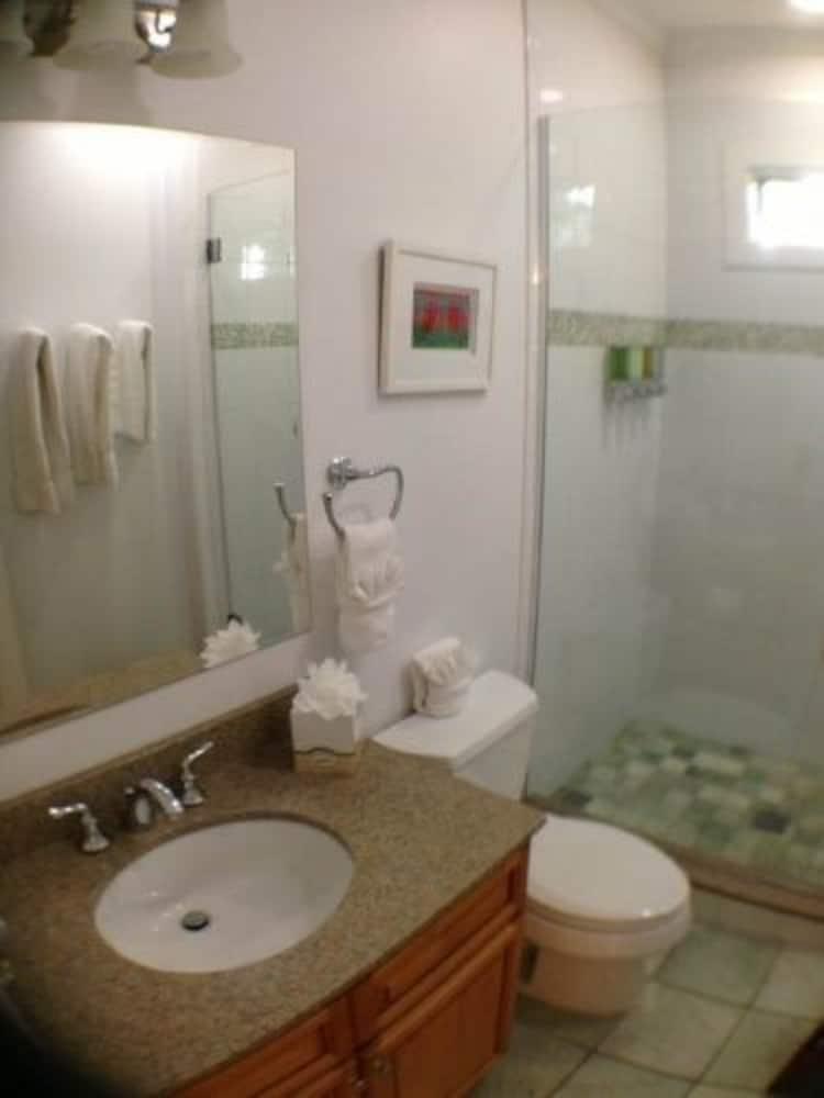 Baño Travelers Palm