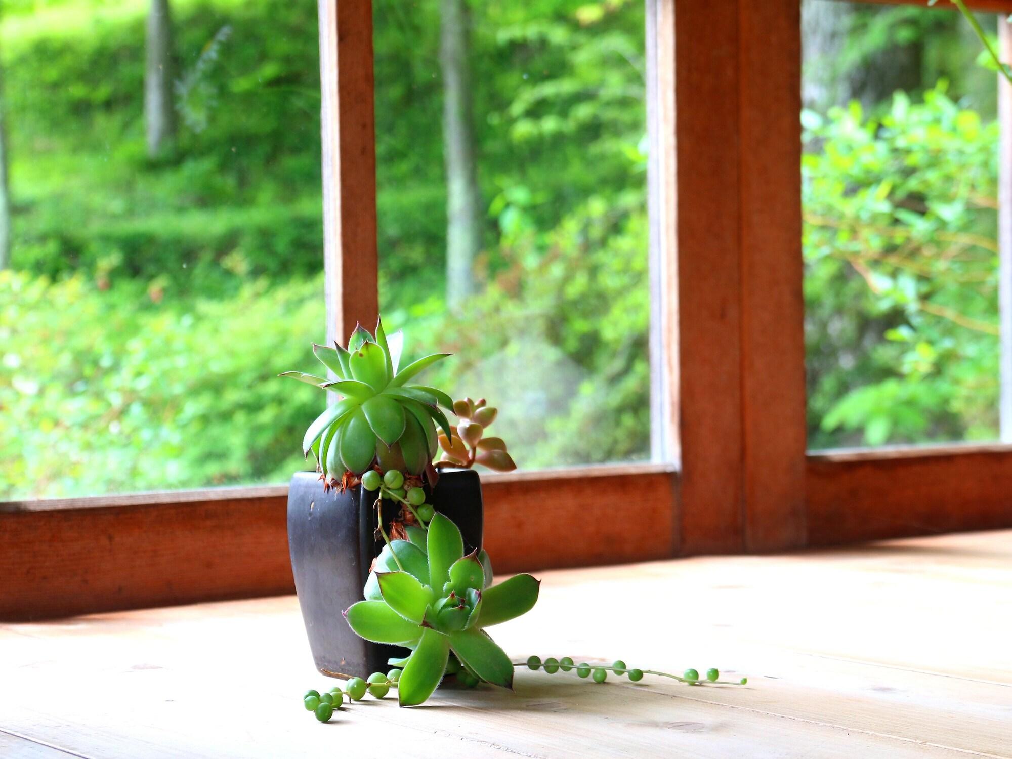 Vista Lobby Minna no ie Polepole