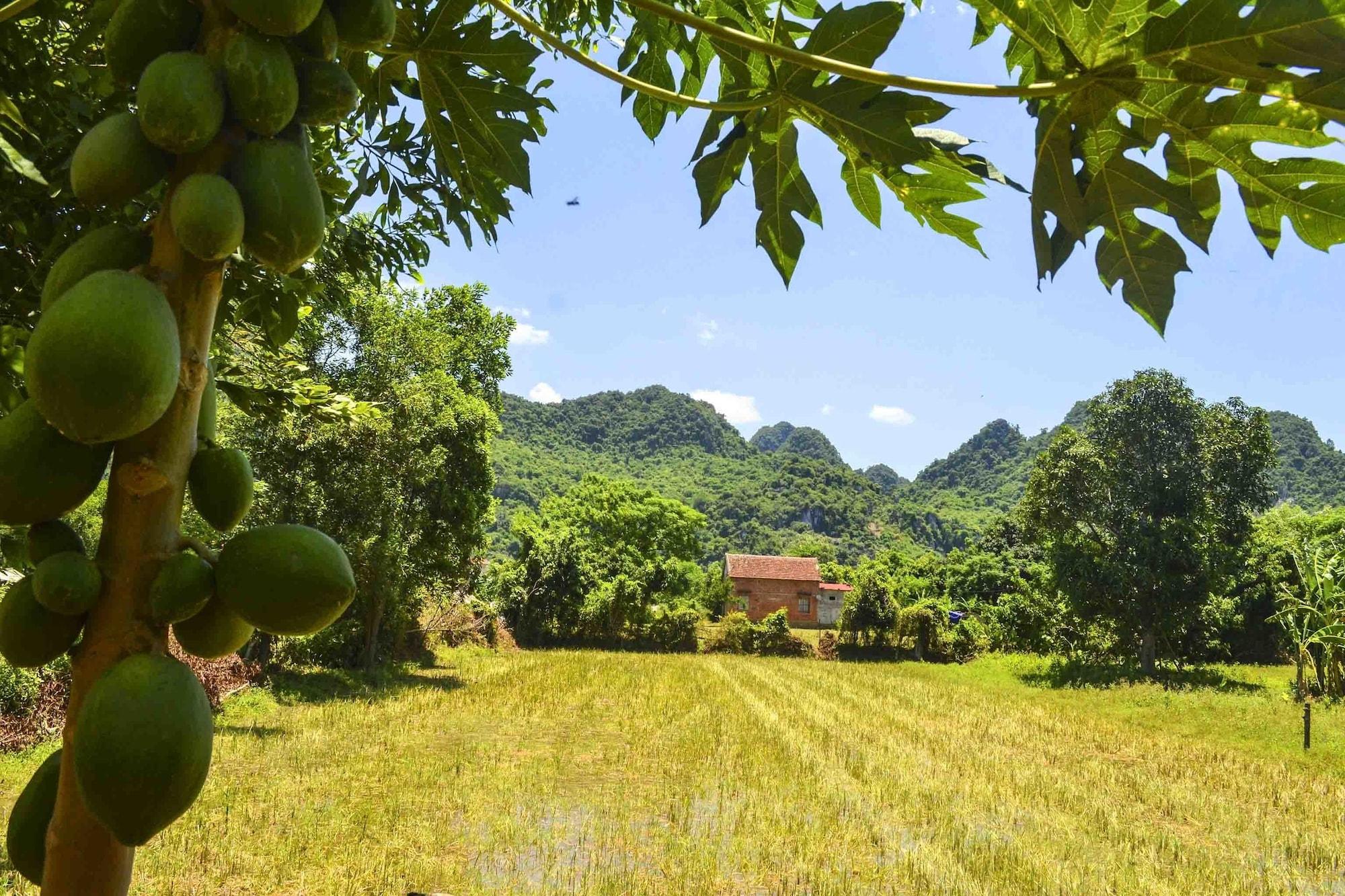 Comodidades del Alojamiento Jungle Boss Homestay