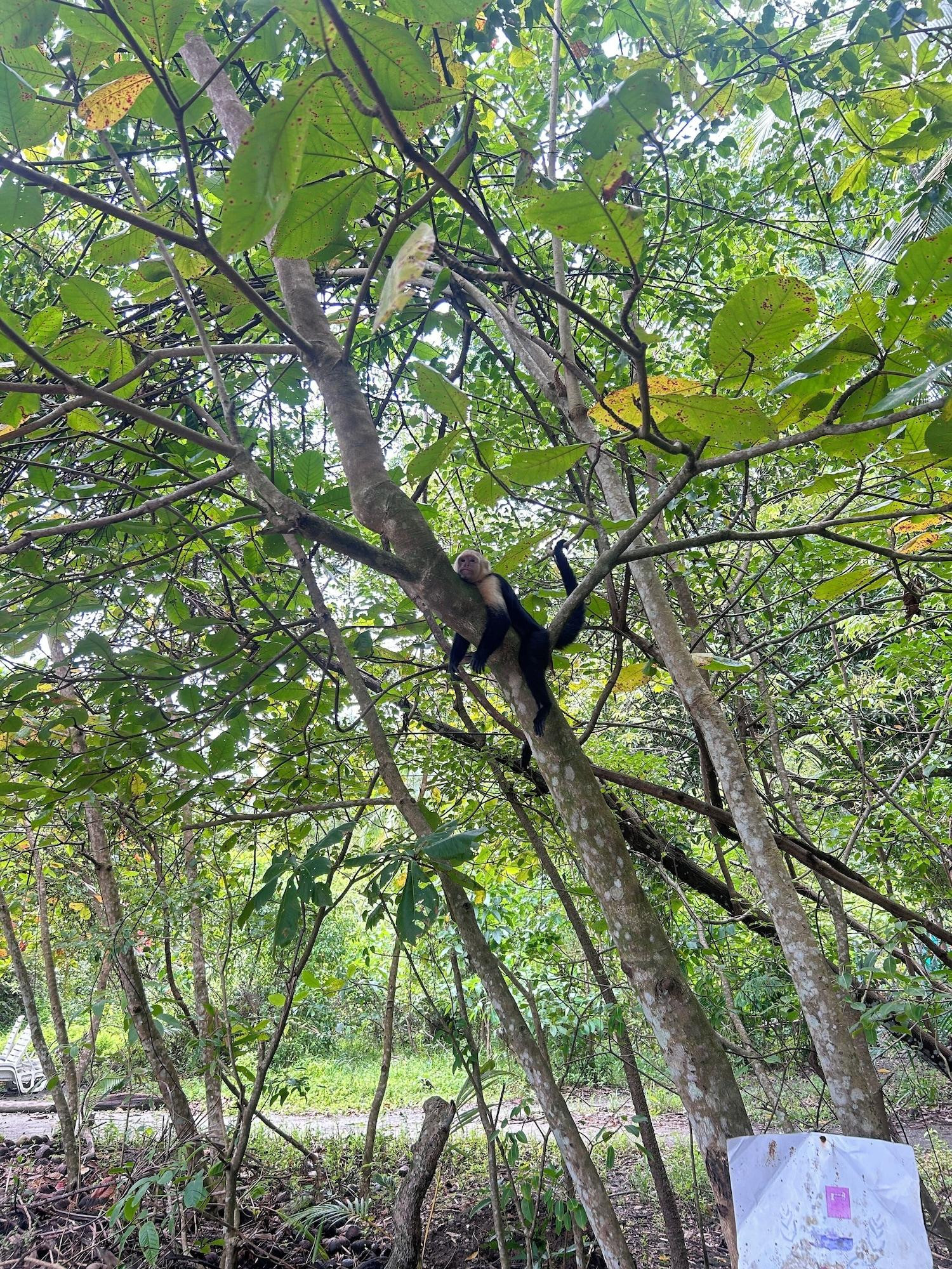 Playa Park View Hotel y Restaurante