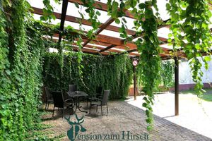 Alojamiento - Hotel-Pension zum Hirsch