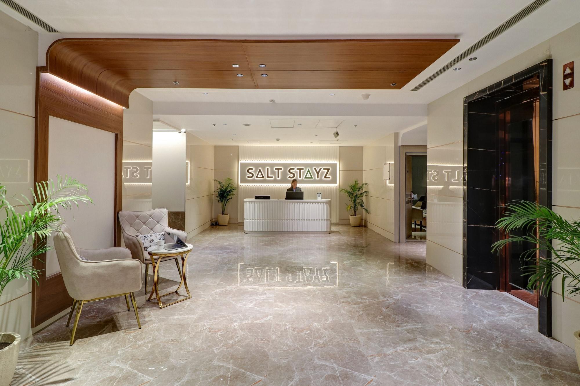 Vista Lobby Saltstayz Premier - Mohali Chandigarh