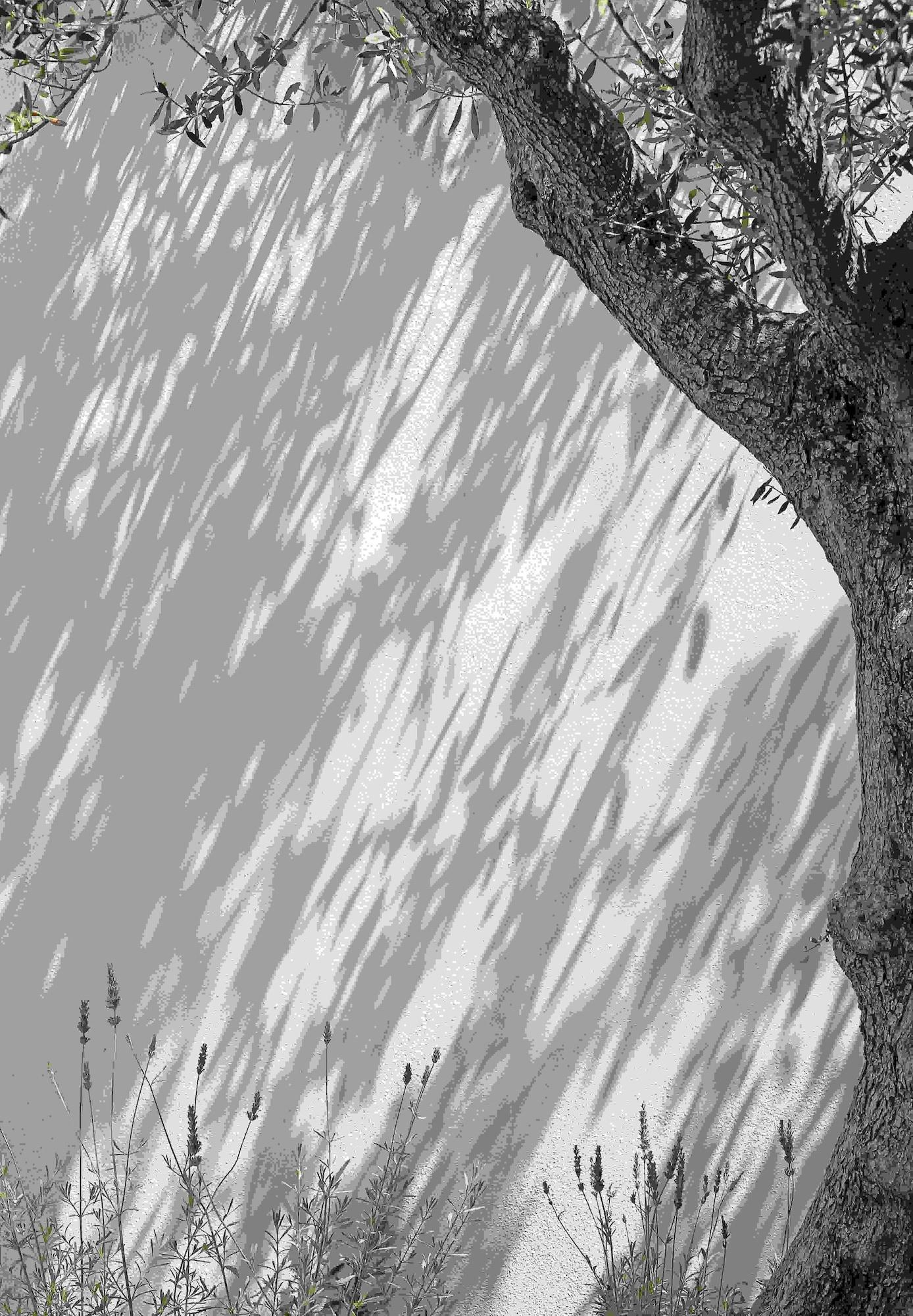 Vista Exterior CUBIC Mykonos Seafront Design Suites