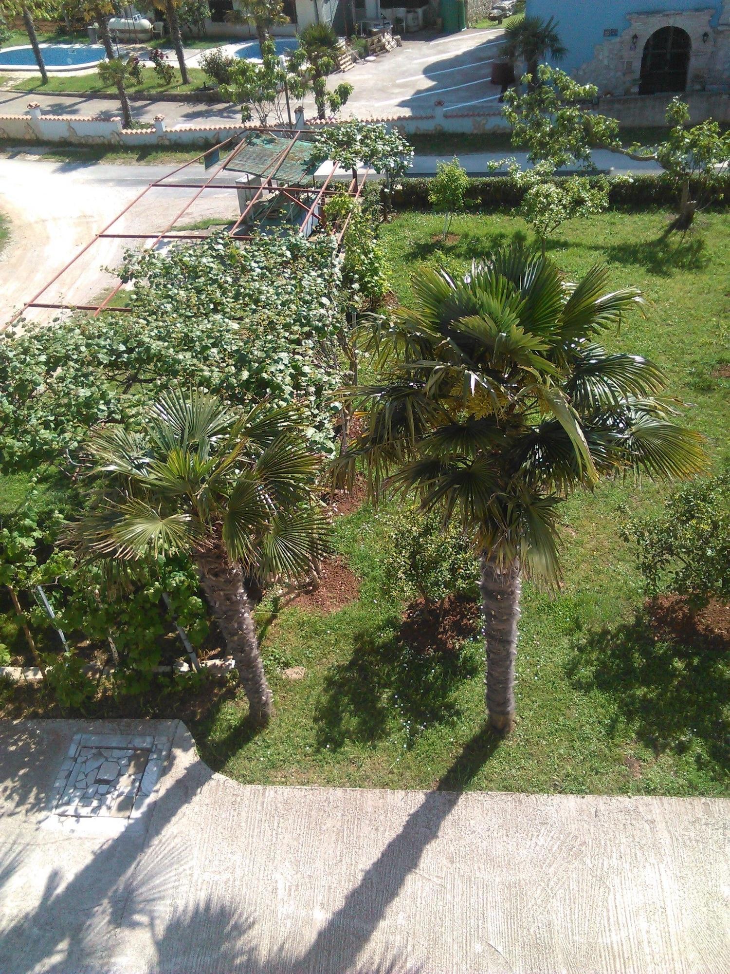 Comodidades del Alojamiento Apartments Zova