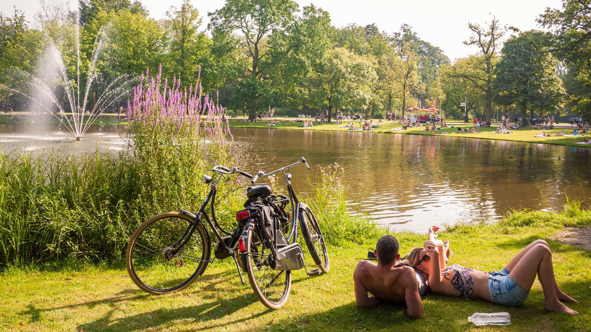 Vista Exterior Park Plaza Vondelpark