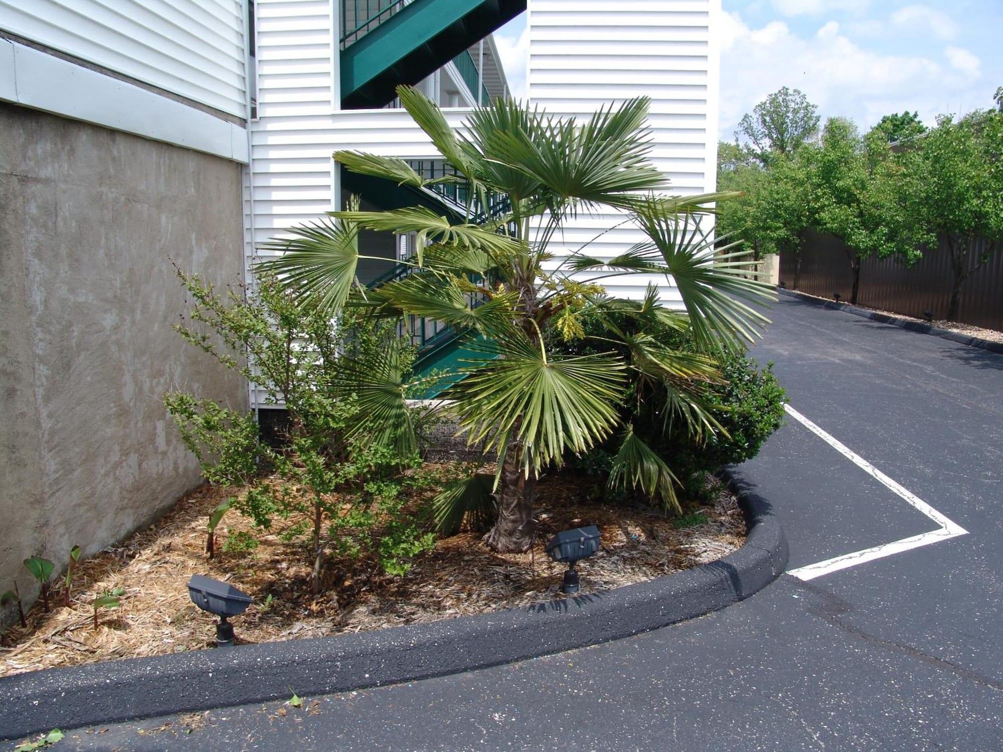 Vista Exterior Super 8 by Wyndham Branson / Shepherd of the Hills Exwy