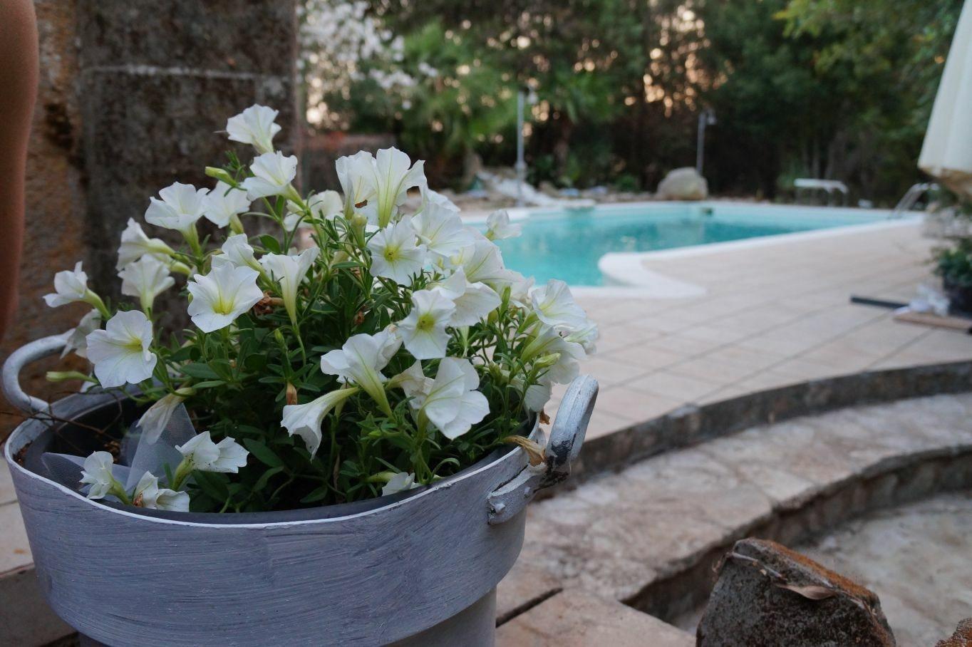 Vista Piscina B&B Filobrocante