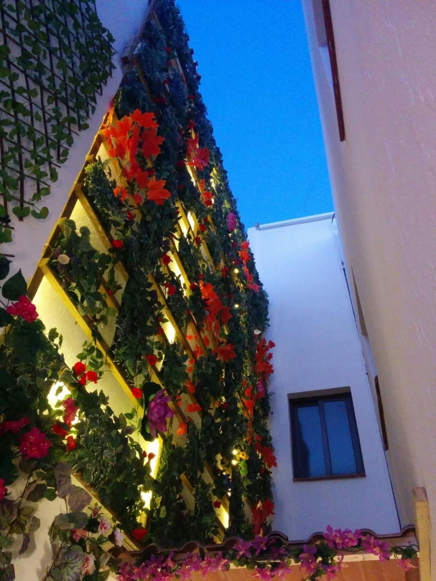 Vista Exterior Lucero 12 Marbella Hostal Boutique