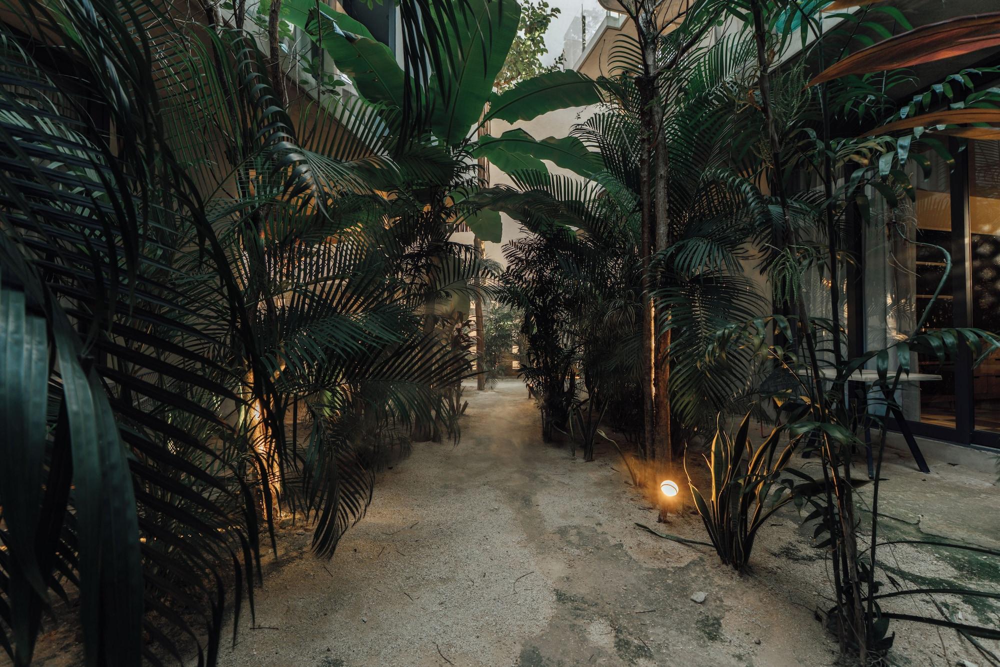 Vista Exterior NAJ Tulum