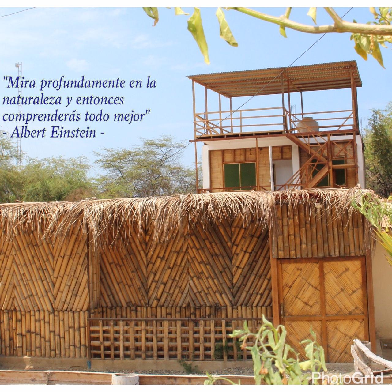 Vista Exterior Pinosur House