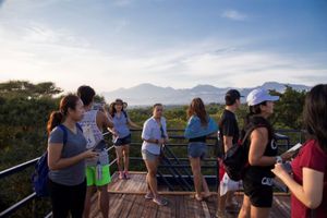 Alojamiento - Menjangan Ecolodge