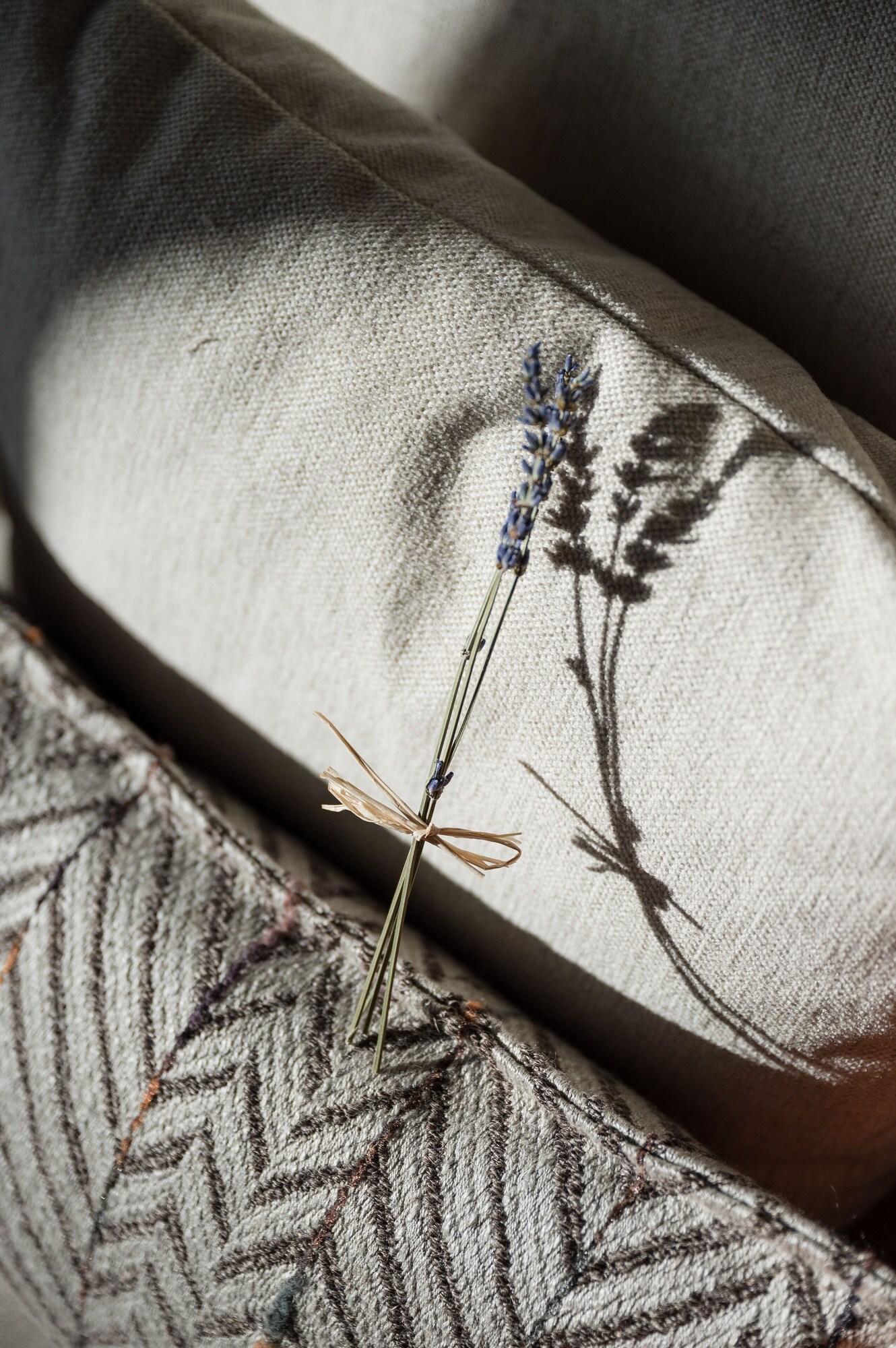 Habitación Castilla Termal Brihuega