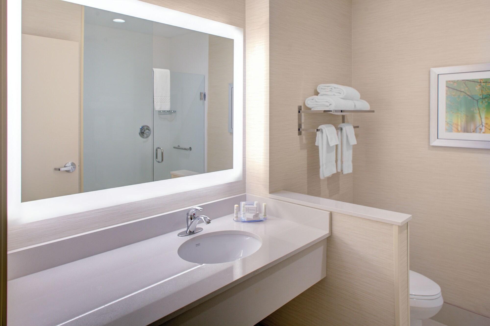 Equipamiento de Habitación Fairfield Inn and Suites by Marriott Detroit Canton