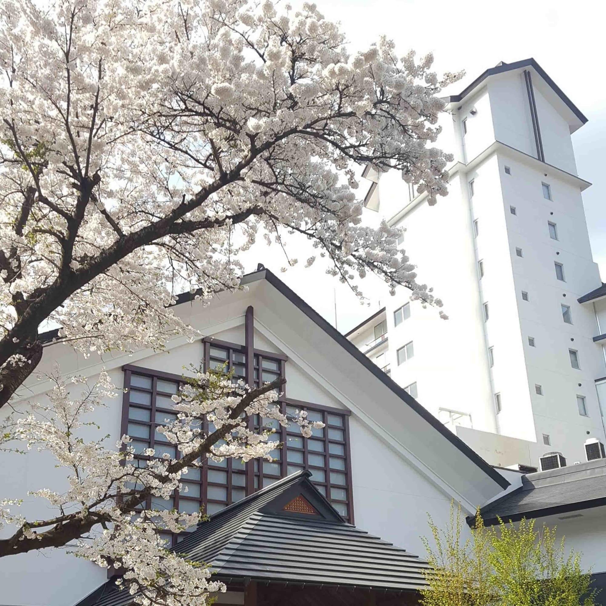 Vista Exterior Ookawaso