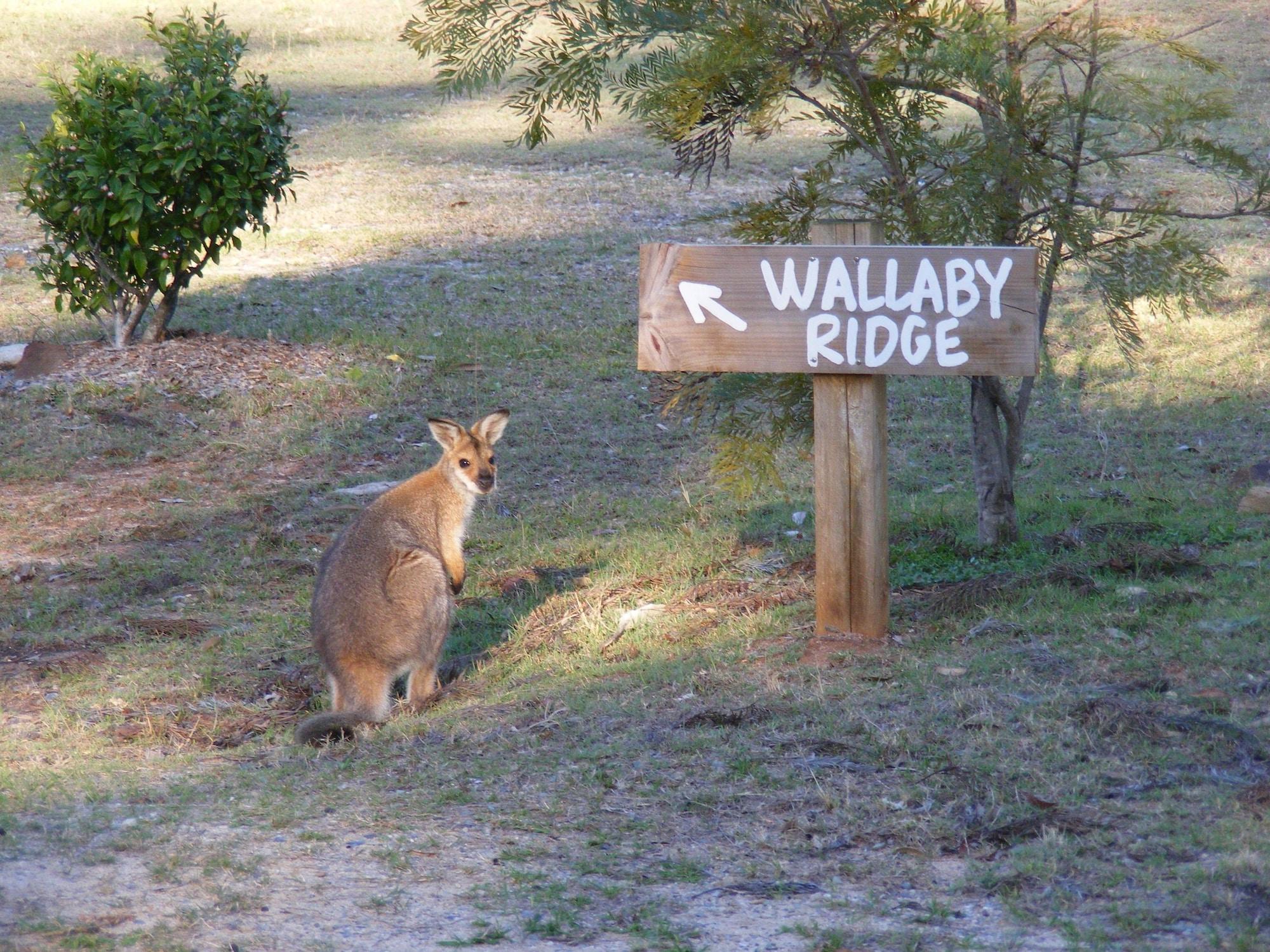 Varios Wallaby Ridge Retreat