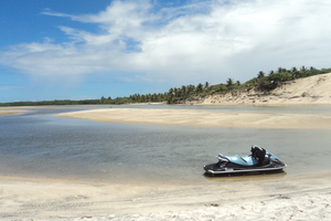 Actividad - Tour a Mangue Seco