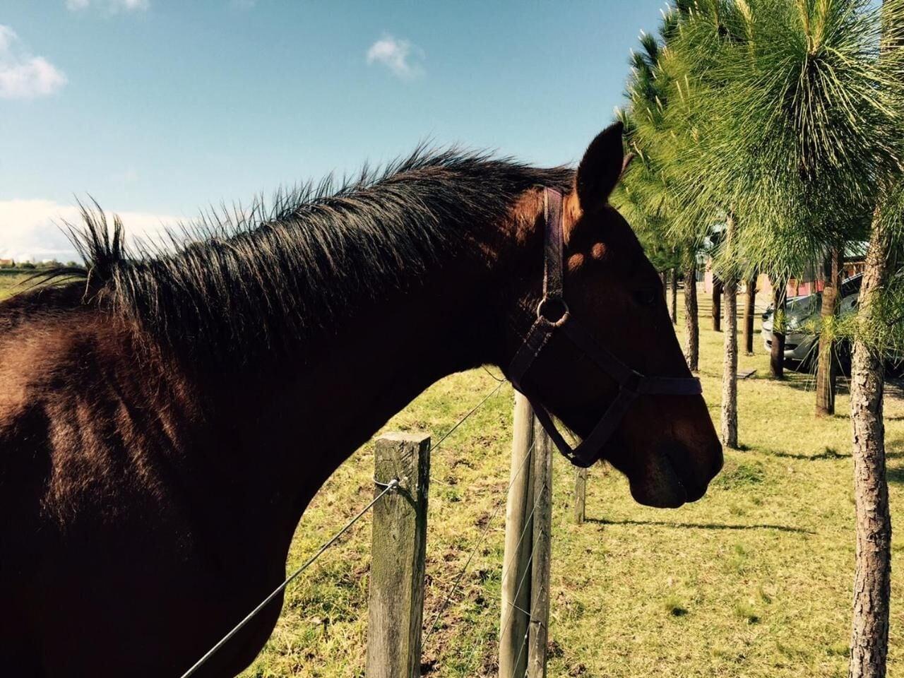 Varios Posada de Campo Lo de Fatsia