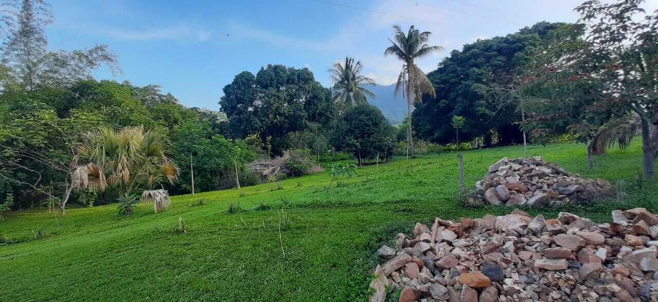 Varios Arboreto Camping