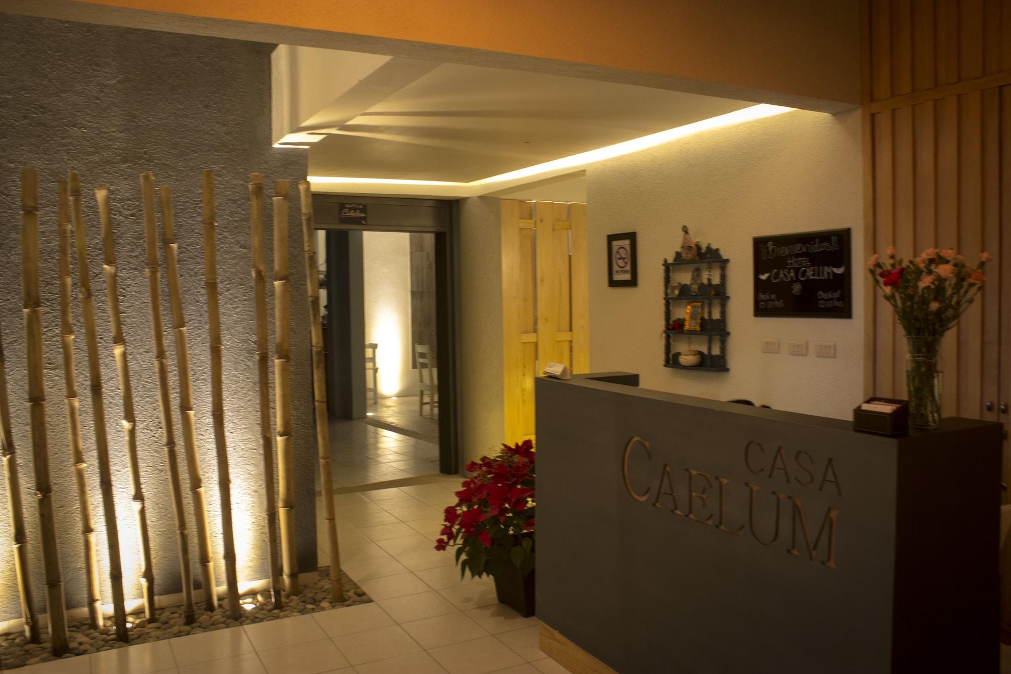 Vista Lobby Hotel Casa Caelum