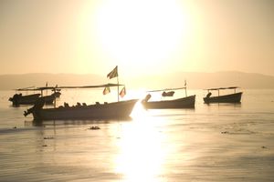 Actividad - Tour Chapala y Ajijic desde Guadalajara