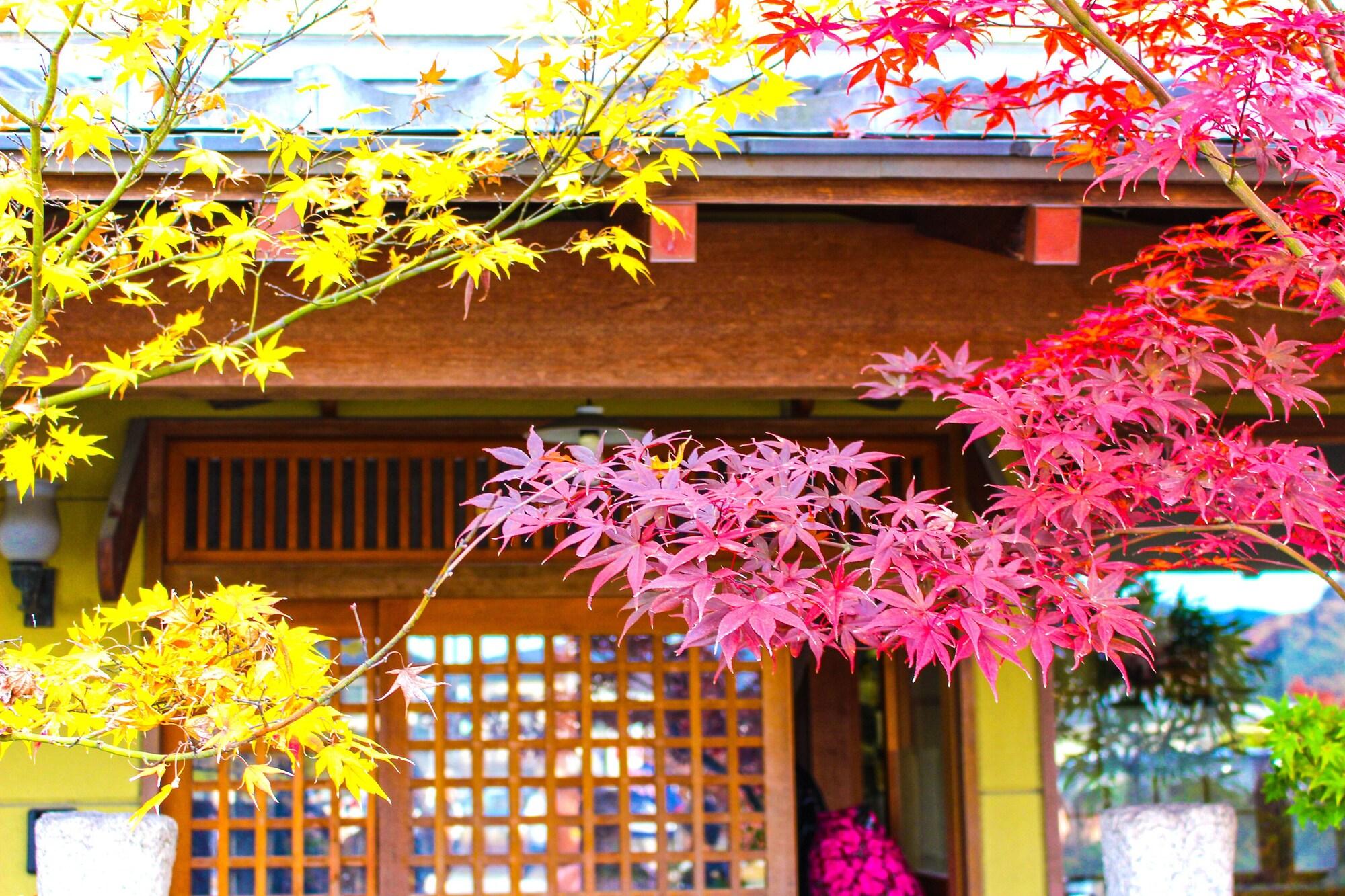 Vista Exterior Stay SAKURA Kyoto Kiyomizu Gojo