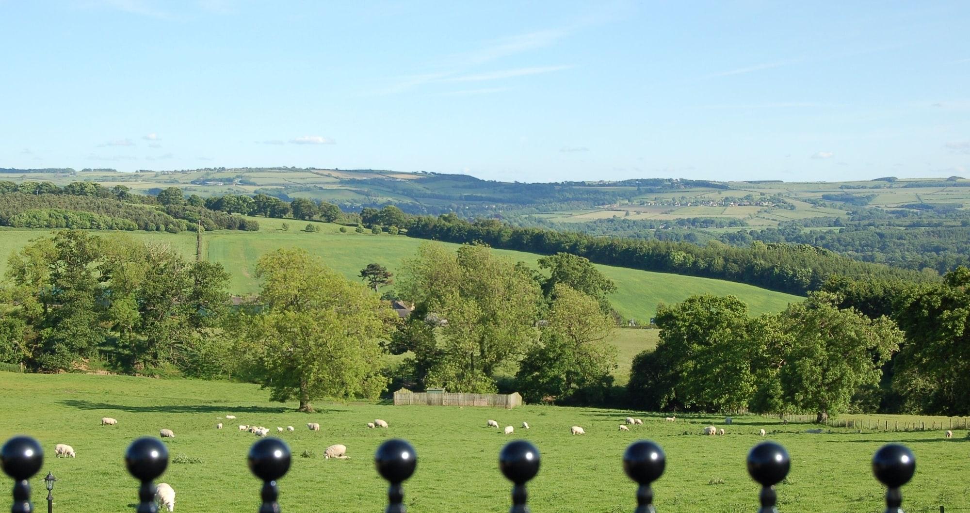 Comodidades del Alojamiento Duke of Wellington