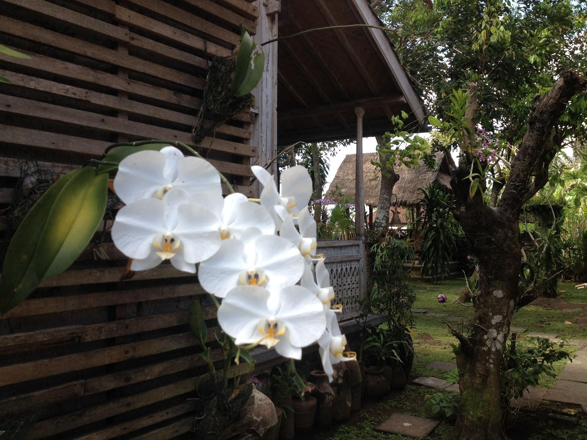 Vista Lobby D'tegale Homestay