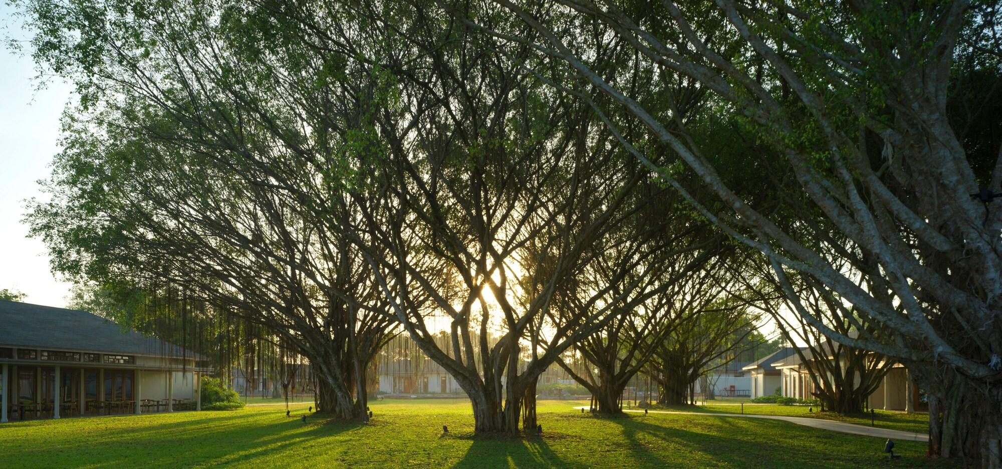 Habitación Legacy Mekong, Can Tho, Autograph Collection
